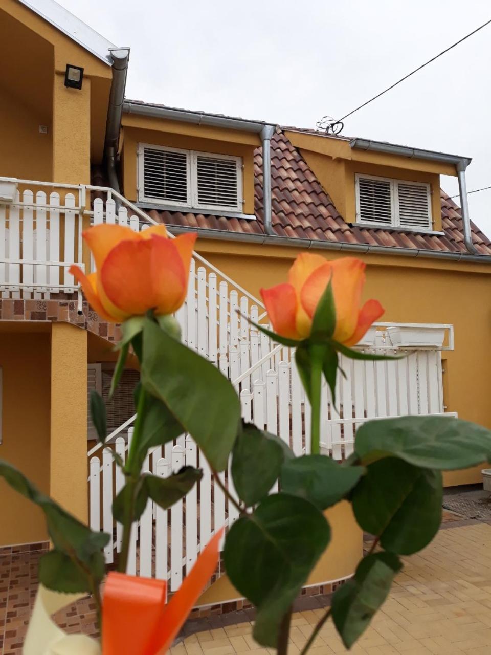 Golden House